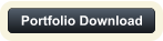 Portfolio Download