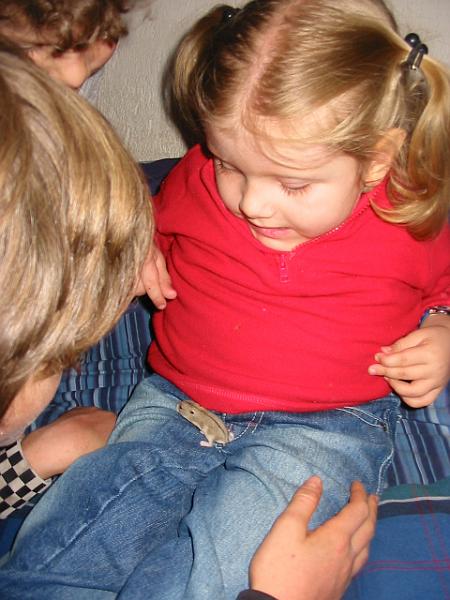 6-14.JPG - Kika and one of the baby hamsters.